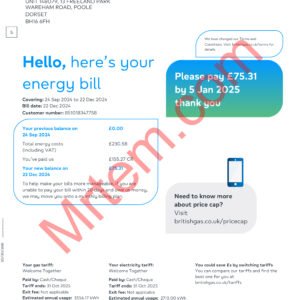 Trusted British Gas Utility Bill | Download PDF File Easily