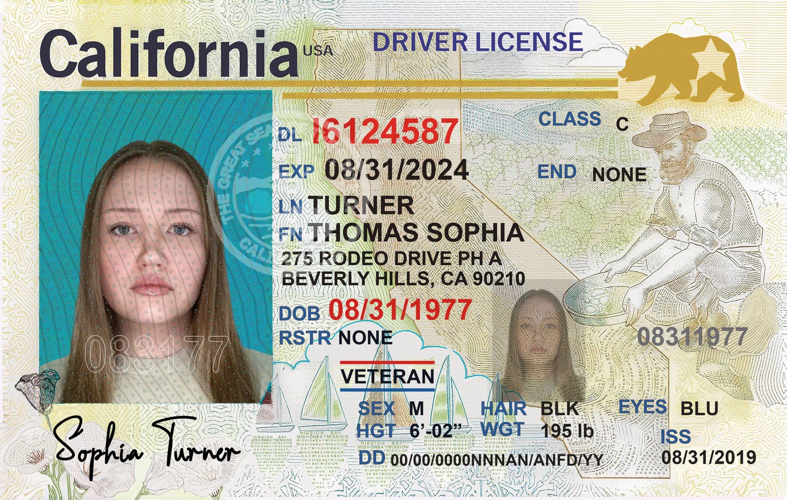 California Driver's License PSD Template 2026 High Quality