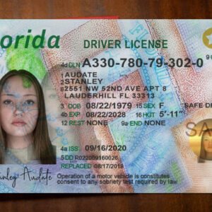 Florida Driver License PSD Template 2026 - High Quality