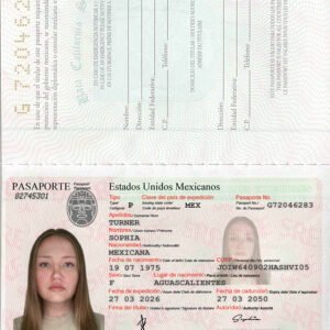 Mexico Passport PSD Template High Quality Version 2