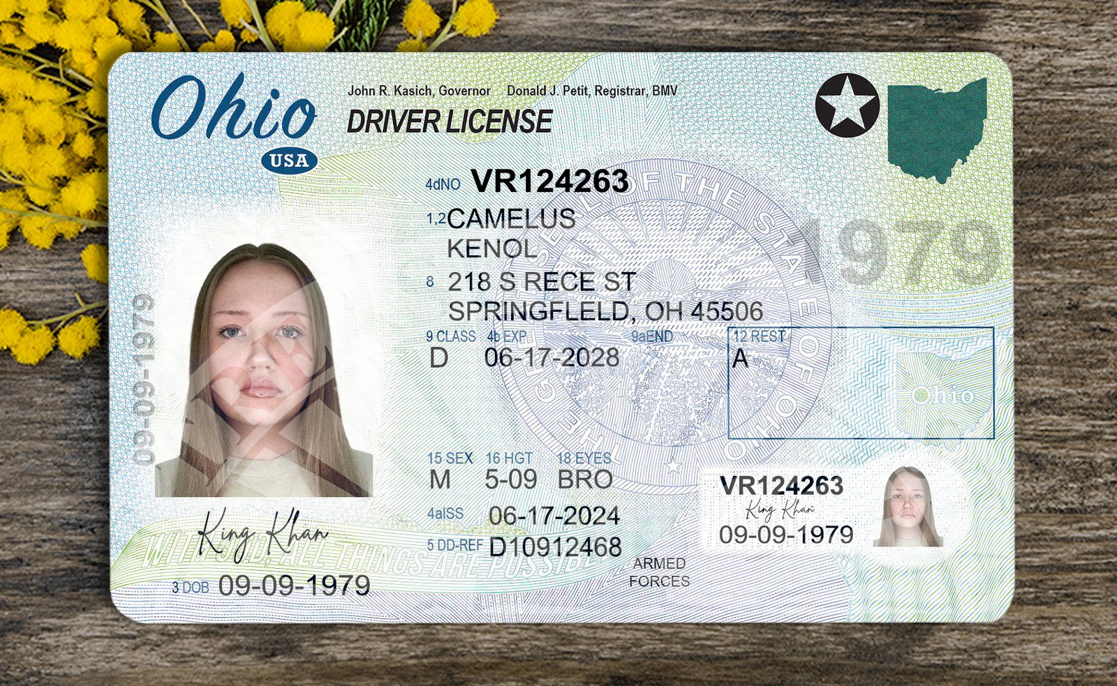 Ohio Driver's License PSD Template 2026 High Quality