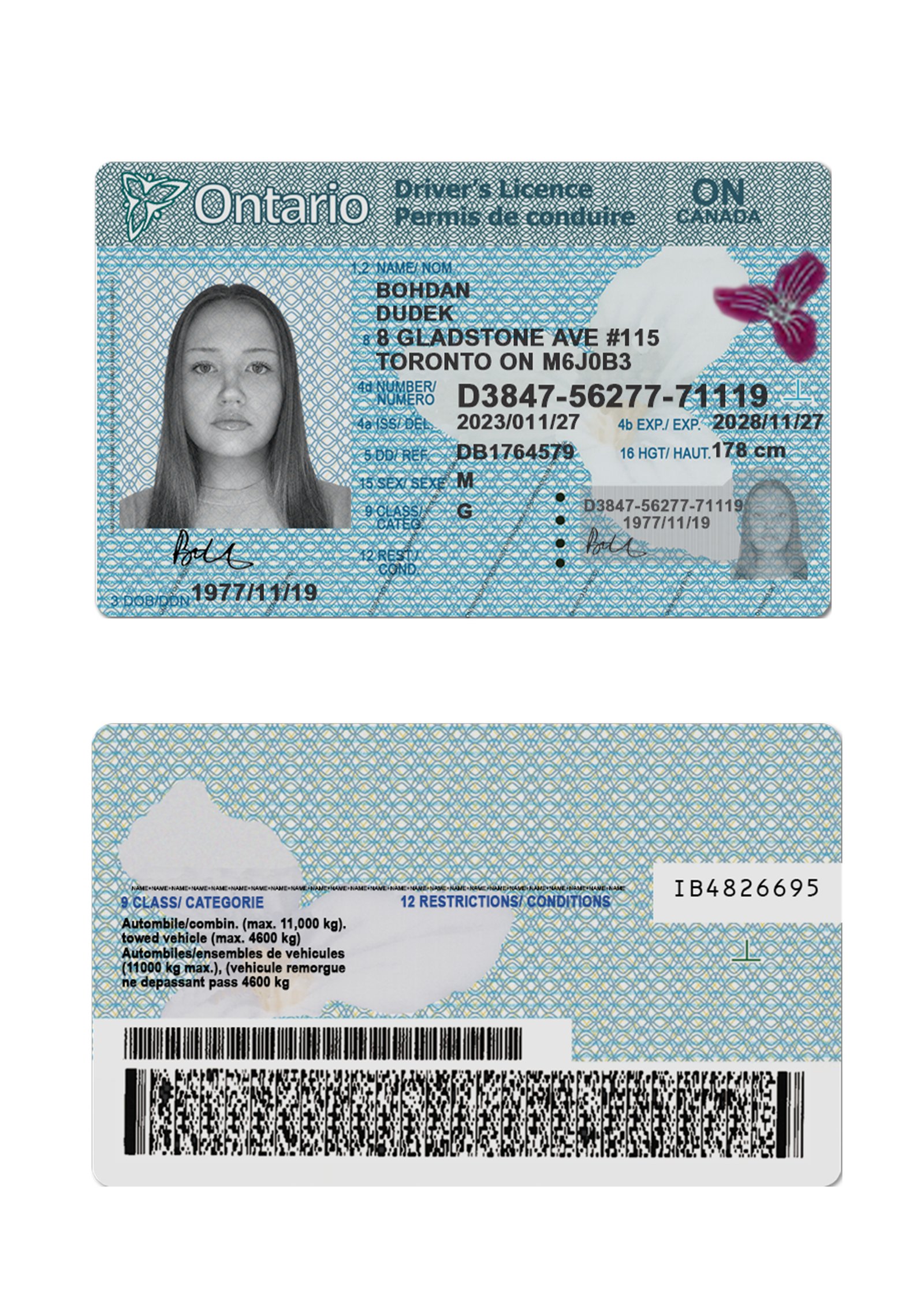 Ontario Driver’s License New Version 2026 High Quality