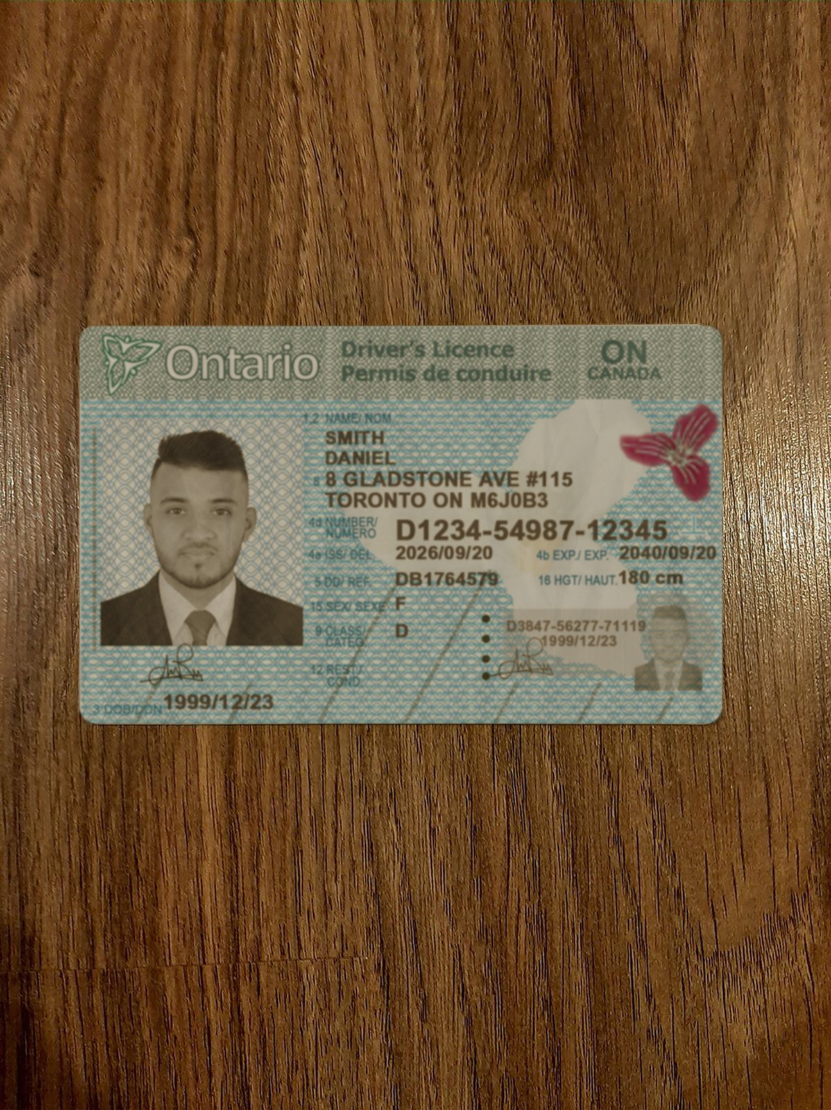 Ontario Driver’s License new version 2026 - High Quality