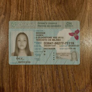 Ontario Driver’s License new version 2026 - High Quality