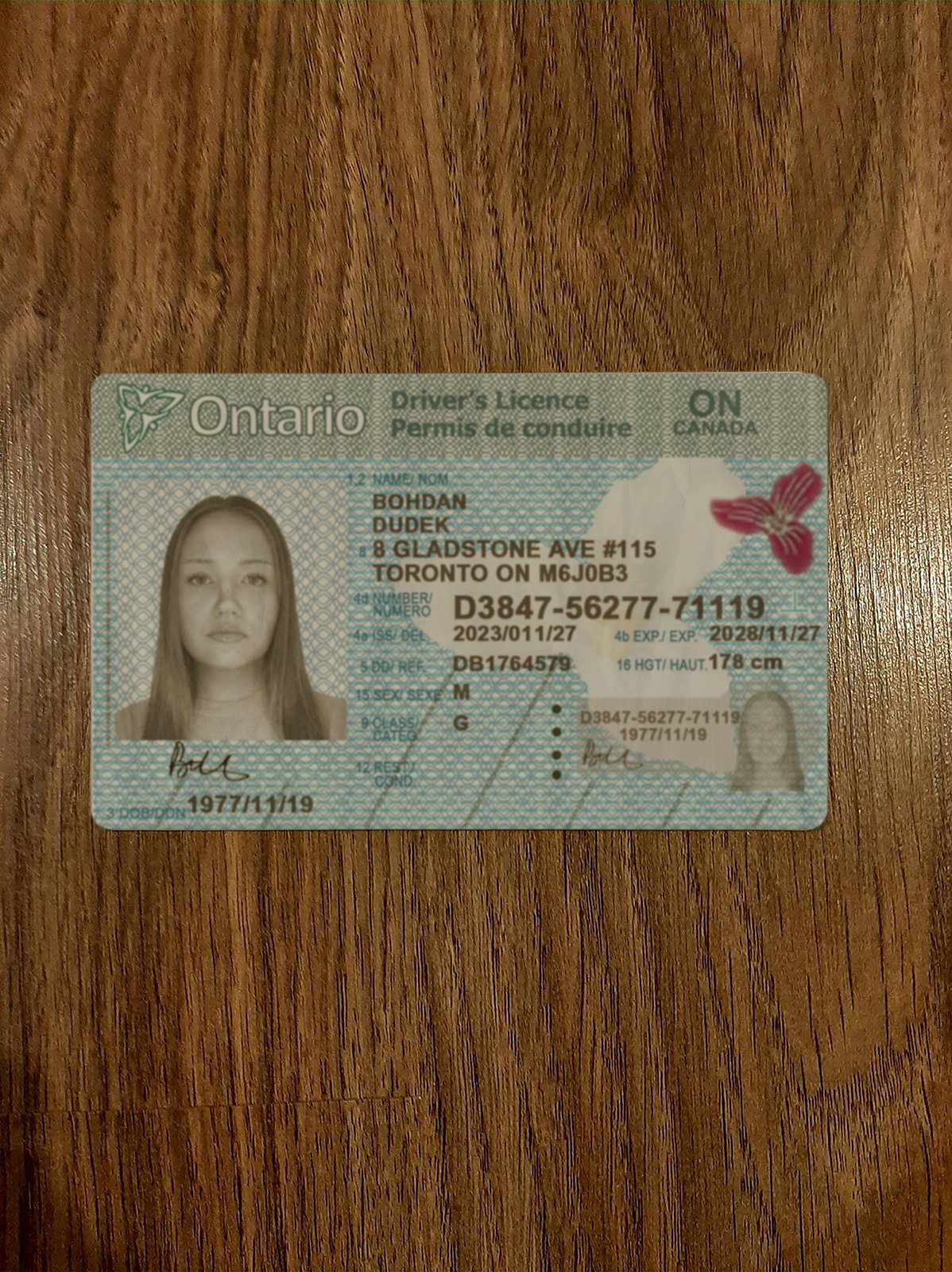 Ontario Driver’s License new version 2026 - High Quality