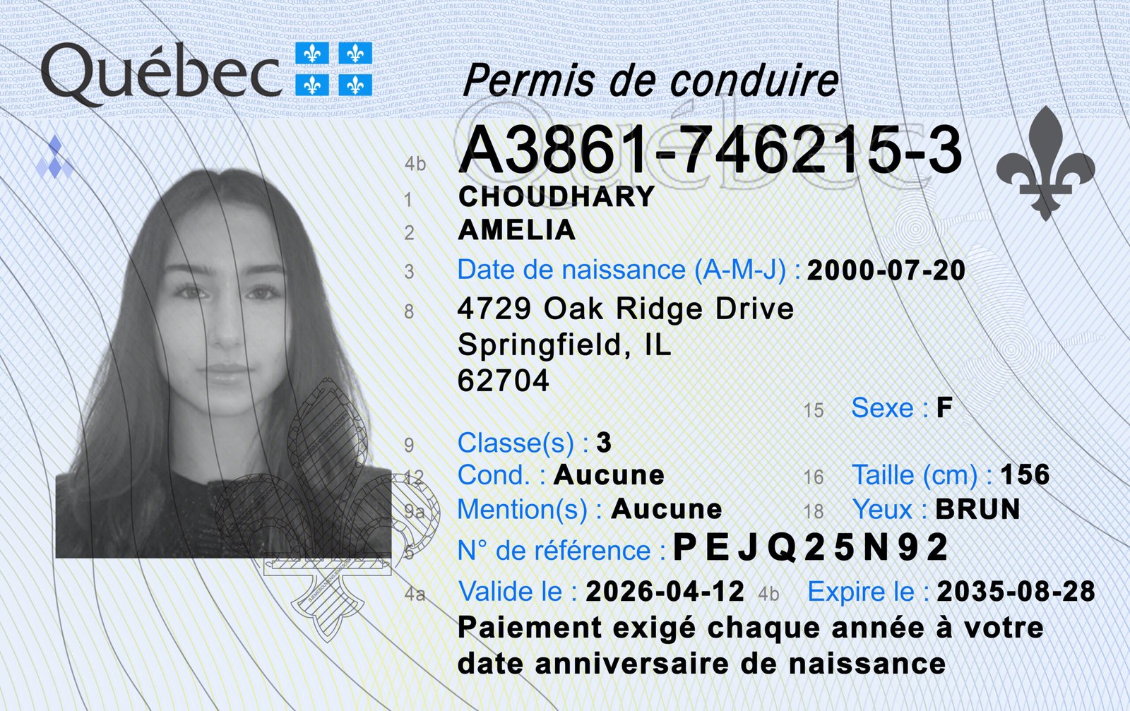Quebec Driving License PSD Template - High Quality