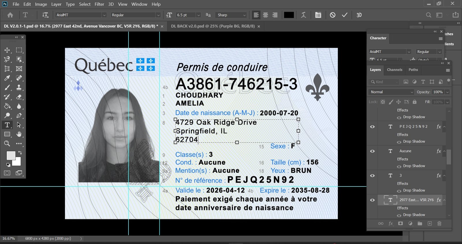 Quebec Driving License PSD Template - High Quality Preview
