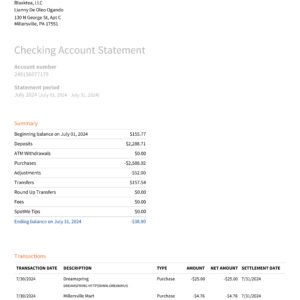 Chime Bank Statement Template Word PDF