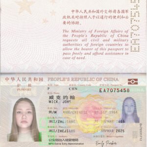 China Passport PSD Template High Quality Version 2