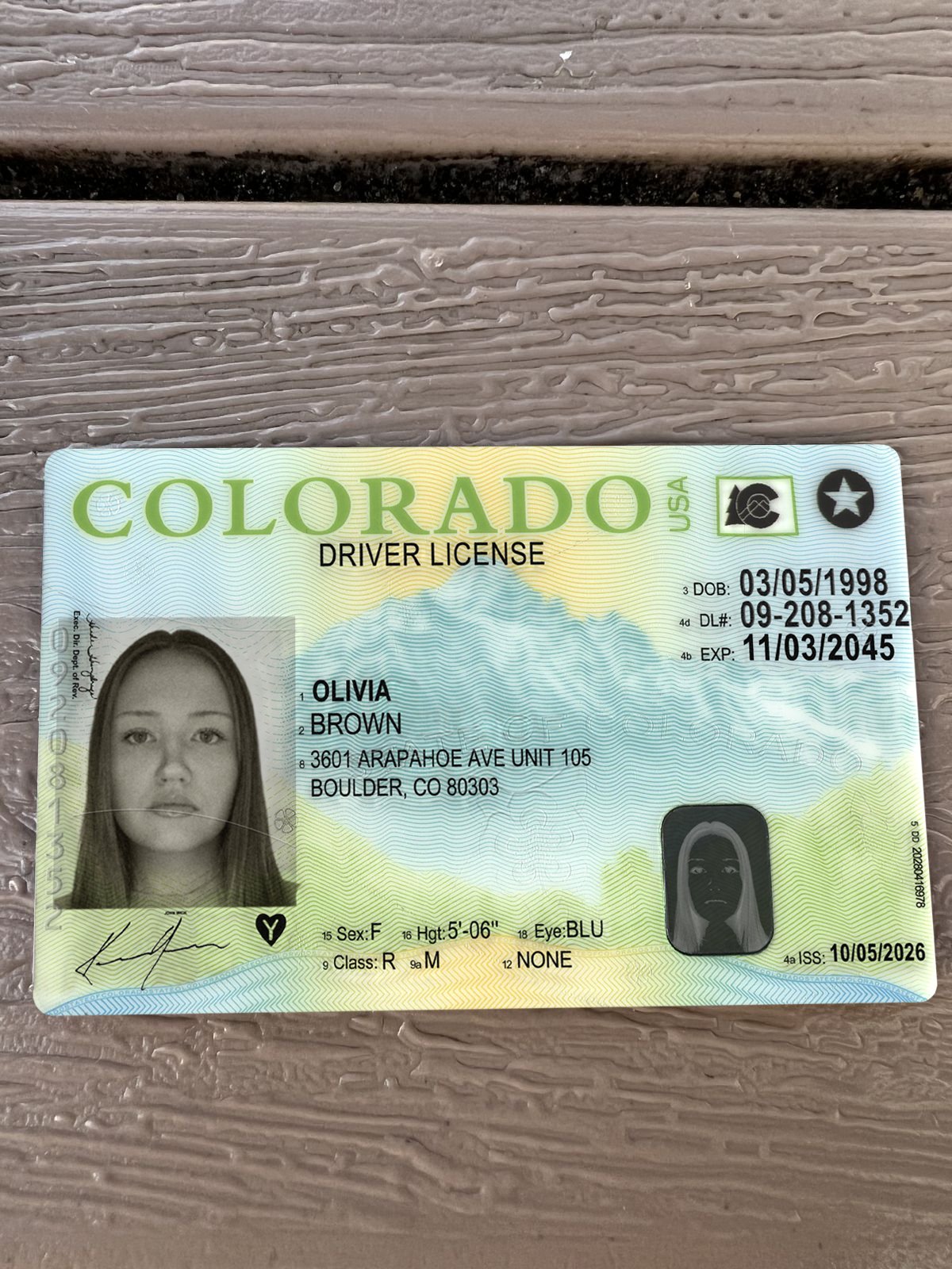 Colorado Driver License Template 2026 High Quality