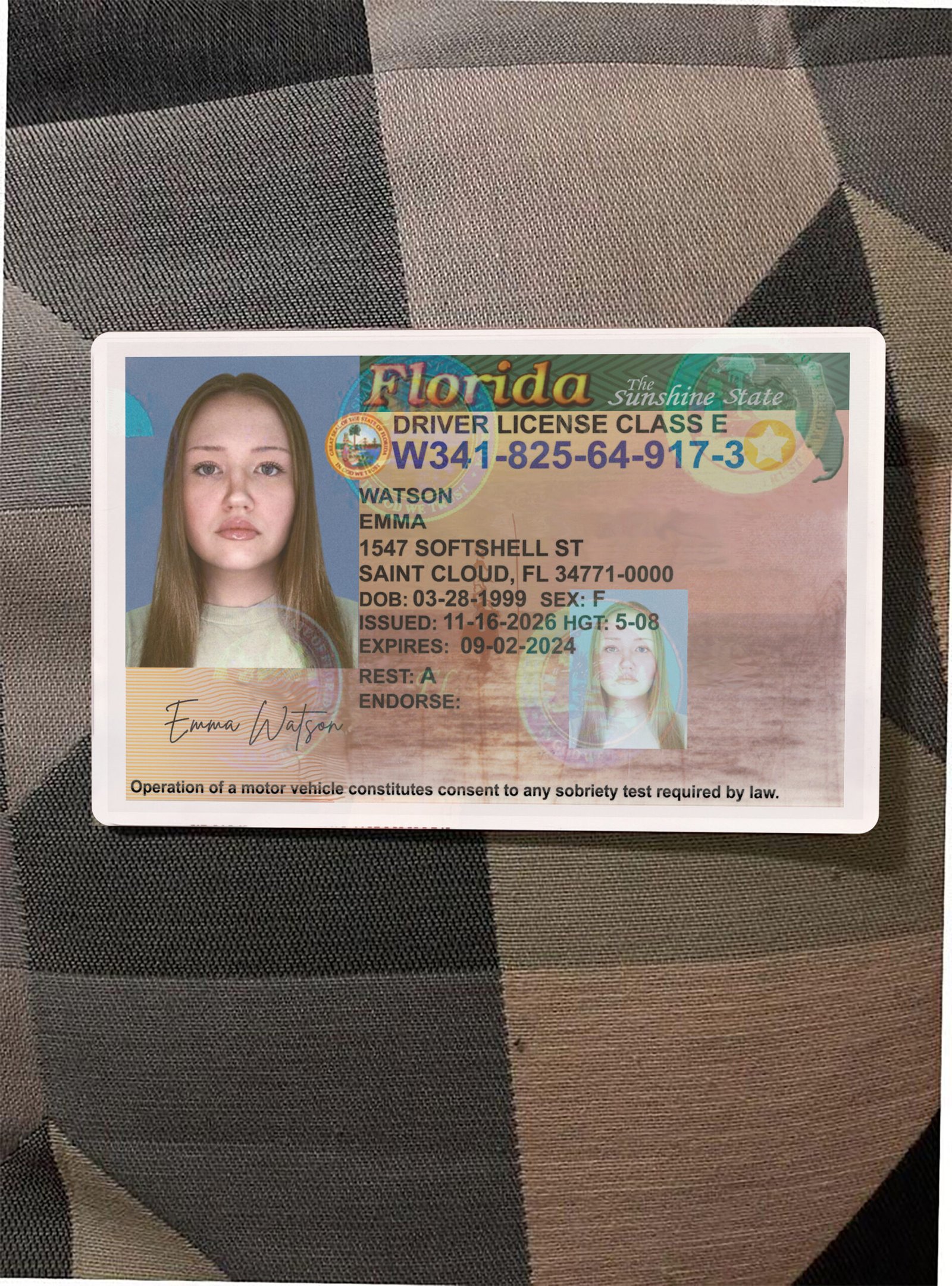 Florida Driver License OLD Version High Quality