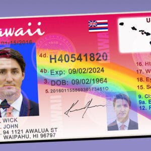 Hawaii Driver License Template 2010 High Quality