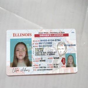 Illinois Driver License Template 2026 High Quality