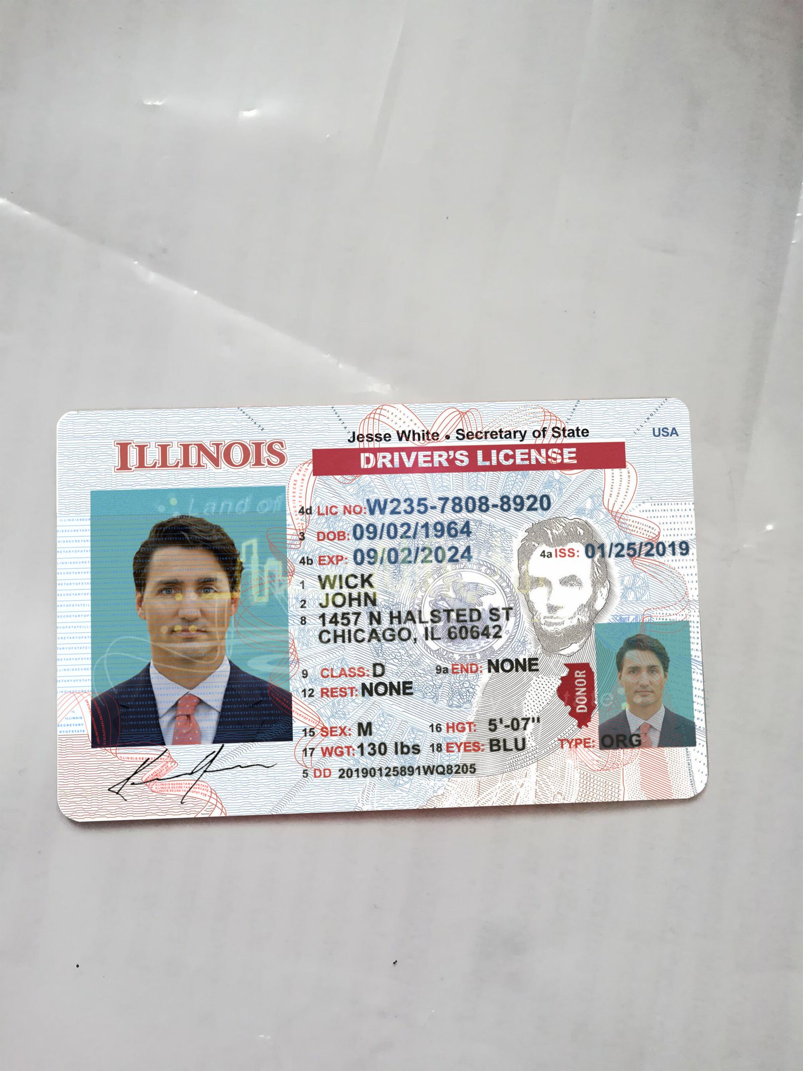 Illinois Driver License Template 2026 High Quality