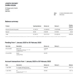 Ireland Revolut Personal Bank Statement Download