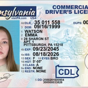 Pennsylvania Commercial Driver License 2026 Design
