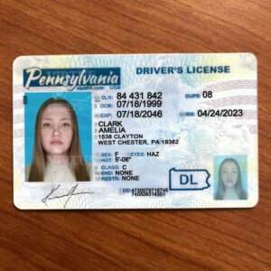 Pennsylvania DL Template 2026 High Quality