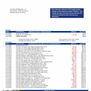 USA ABNG Business Bank Statement PDF Download