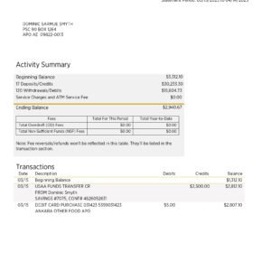 USA USAA Federal Savings Bank Statement Download
