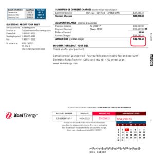 USA Xcel Energy Bill Personal PDF Download
