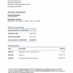 USA bluevine Bank Statement PDF Download