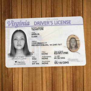 Virginia Driver License OLD Version High Quality