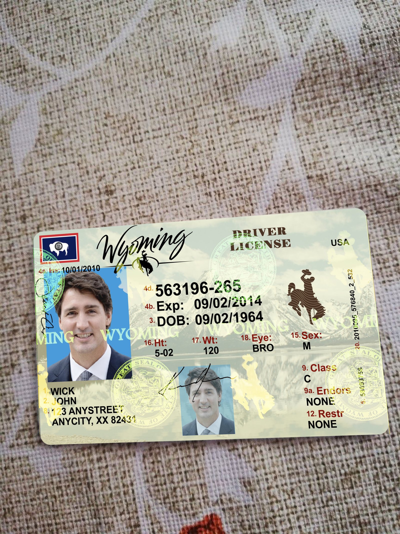 Wyoming Driver License OLD Version High Quality