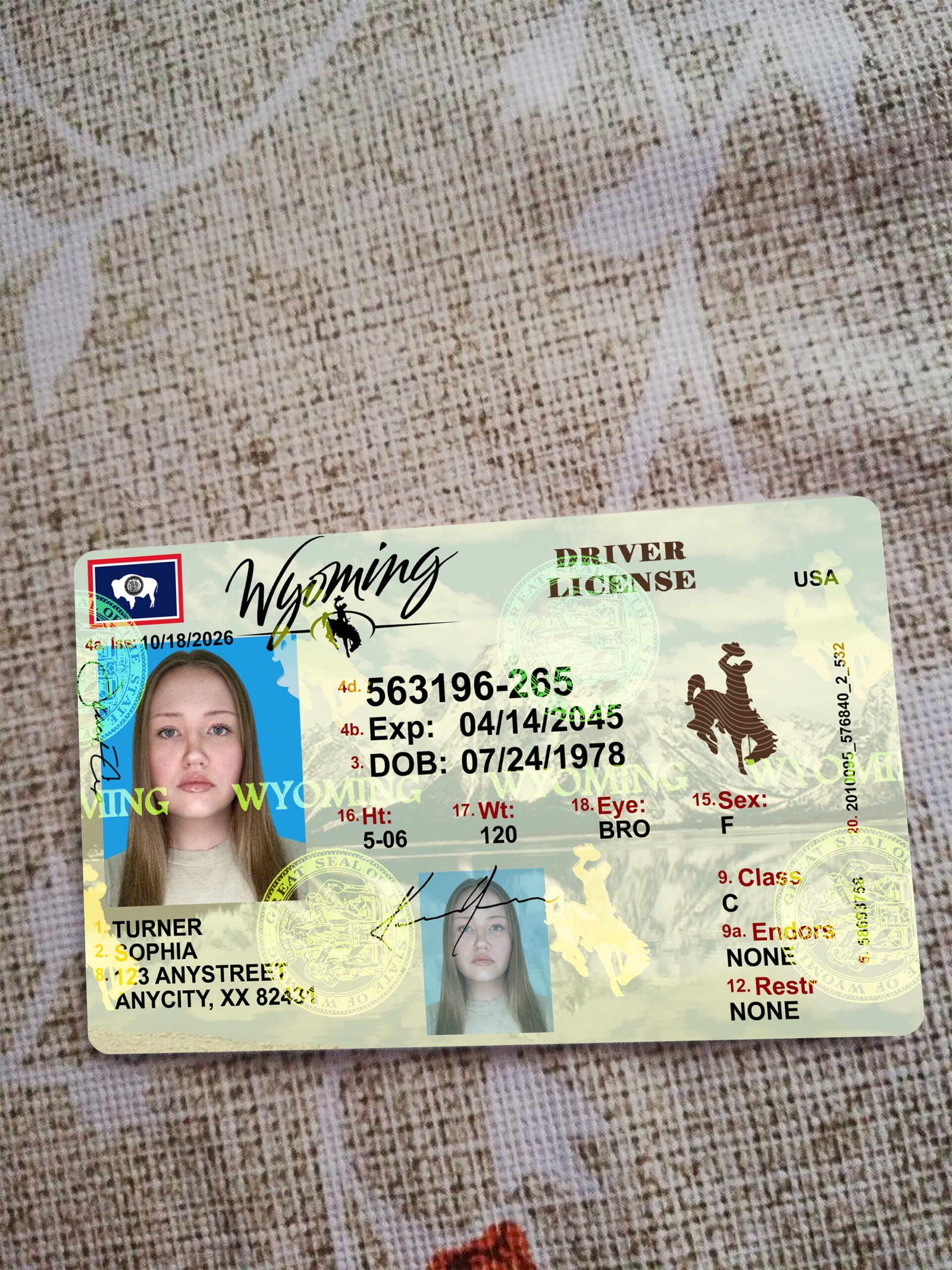 Wyoming Driver License OLD Version High Quality