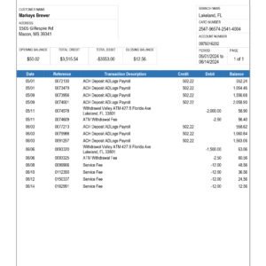 Valley National Bank Statement PDF Download